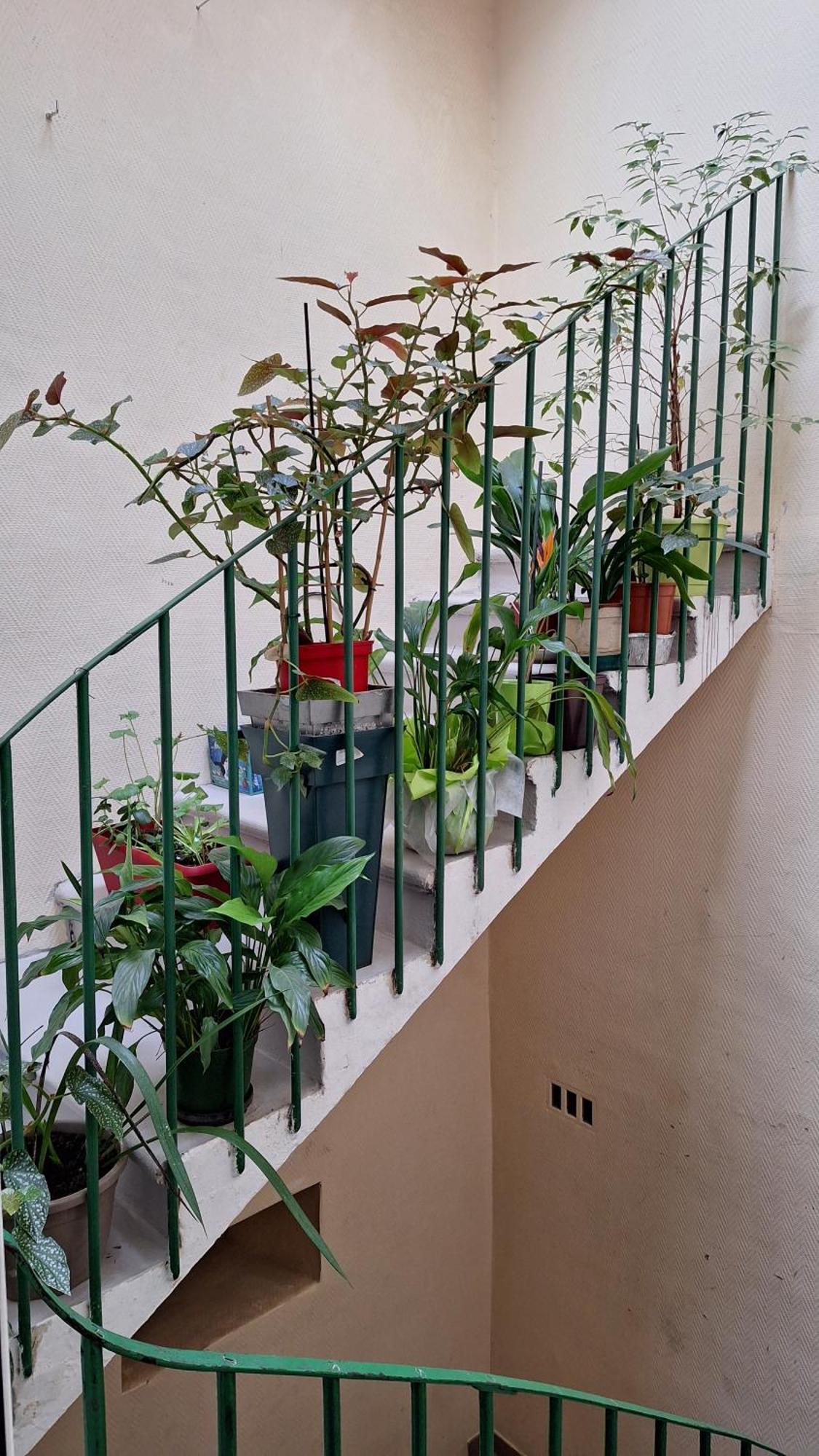 Vacance Et Cure Dans Duplex 80 M2 A Ceret 66400 Екстер'єр фото